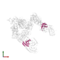 Ragulator complex protein LAMTOR2 in PDB entry 7t3c, assembly 1, front view.