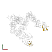 Ragulator complex protein LAMTOR4 in PDB entry 7t3c, assembly 1, front view.