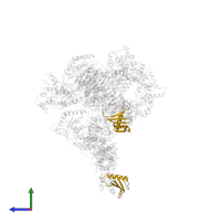 Ragulator complex protein LAMTOR4 in PDB entry 7t3c, assembly 1, side view.