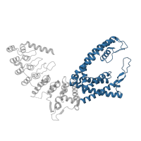 The deposited structure of PDB entry 7t6n contains 4 copies of Pfam domain PF00520 (Ion transport protein) in Transient receptor potential cation channel subfamily V member 5. Showing 1 copy in chain A.