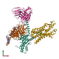 PDB entry 7t6u coloured by chain, front view.