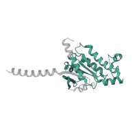 The deposited structure of PDB entry 7t9n contains 1 copy of Pfam domain PF00503 (G-protein alpha subunit) in Guanine nucleotide-binding protein G(s) subunit alpha isoforms short. Showing 1 copy in chain E [auth X].