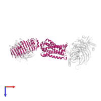 Thyrotropin receptor in PDB entry 7t9n, assembly 1, top view.