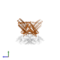 Transcription factor TGA3 in PDB entry 7tac, assembly 1, side view.