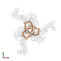 Transmembrane protein gp41 in PDB entry 7tco, assembly 1, front view.