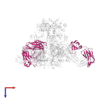 CH235.12 Fab Light Chain in PDB entry 7tco, assembly 1, top view.