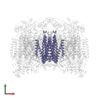 Cytochrome c oxidase subunit 3 in PDB entry 7tie, assembly 1, front view.
