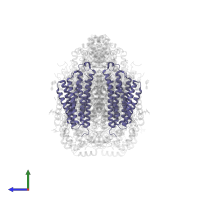 Cytochrome c oxidase subunit 3 in PDB entry 7tie, assembly 1, side view.