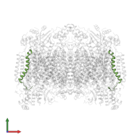 Cytochrome c oxidase subunit 8B, mitochondrial in PDB entry 7tii, assembly 1, front view.