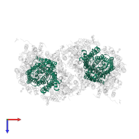 Cytochrome c oxidase subunit 1 in PDB entry 7tii, assembly 1, top view.