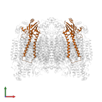 Cytochrome c oxidase subunit 2 in PDB entry 7tii, assembly 1, front view.