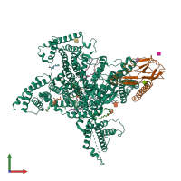 PDB entry 7tj8 coloured by chain, front view.