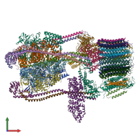 PDB entry 7tmr coloured by chain, front view.