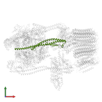 V-type proton ATPase subunit D in PDB entry 7tmr, assembly 1, front view.