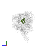 V-type proton ATPase subunit D in PDB entry 7tmr, assembly 1, side view.