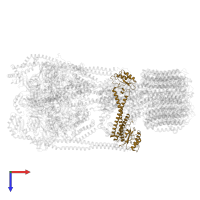 V-type proton ATPase subunit C in PDB entry 7tmr, assembly 1, top view.