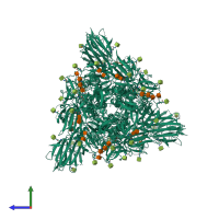 Homo trimeric assembly 1 of PDB entry 7tou coloured by chemically distinct molecules, side view.