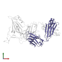 K288.2 light chain in PDB entry 7tp3, assembly 1, front view.