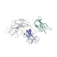 The deposited structure of PDB entry 7tpp contains 2 copies of Pfam domain PF00754 (F5/8 type C domain) in Coagulation factor V light chain. Showing 2 copies in chain D.