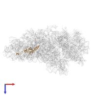 Small ribosomal subunit protein uS17 in PDB entry 7tql, assembly 1, top view.