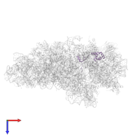 Small ribosomal subunit protein eS17 in PDB entry 7tql, assembly 1, top view.