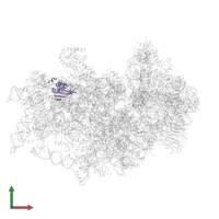 Small ribosomal subunit protein eS24 in PDB entry 7tql, assembly 1, front view.