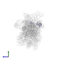 Small ribosomal subunit protein eS24 in PDB entry 7tql, assembly 1, side view.