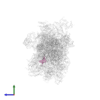 Small ribosomal subunit protein eS28 in PDB entry 7tql, assembly 1, side view.