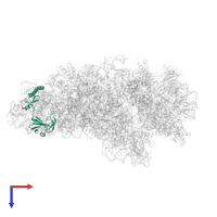 Small ribosomal subunit protein eS6 in PDB entry 7tql, assembly 1, top view.