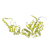 The deposited structure of PDB entry 7trg contains 1 copy of Pfam domain PF00118 (TCP-1/cpn60 chaperonin family) in T-complex protein 1 subunit delta. Showing 1 copy in chain F.