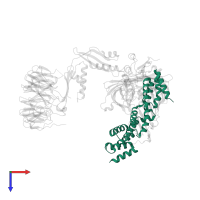 Outer membrane protein assembly factor BamD in PDB entry 7tt2, assembly 1, top view.