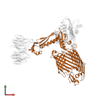 Outer membrane protein assembly factor BamA in PDB entry 7ttc, assembly 1, front view.