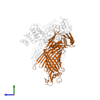 Outer membrane protein assembly factor BamA in PDB entry 7ttc, assembly 1, side view.