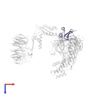 Outer membrane protein assembly factor BamE in PDB entry 7ttc, assembly 1, top view.
