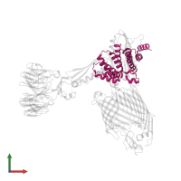 Outer membrane protein assembly factor BamD in PDB entry 7ttc, assembly 1, front view.