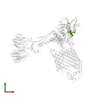 Outer membrane protein assembly factor BamC in PDB entry 7ttc, assembly 1, front view.