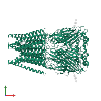 Glycine receptor subunit alphaZ1 in PDB entry 7u2m, assembly 1, front view.