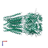 Glycine receptor subunit alphaZ1 in PDB entry 7u2m, assembly 1, top view.