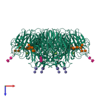 Homo tetrameric assembly 1 of PDB entry 7u4g coloured by chemically distinct molecules, top view.