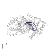 DNA (5'-D(*AP*GP*CP*GP*TP*CP*AP*T)-3') in PDB entry 7u72, assembly 1, top view.