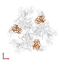 BG24 CDRH2-v2 Fab heavy chain in PDB entry 7ucg, assembly 1, front view.