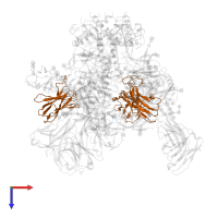BG24 CDRH2-v2 Fab heavy chain in PDB entry 7ucg, assembly 1, top view.