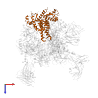 Transmembrane protein gp41 in PDB entry 7ugp, assembly 1, top view.