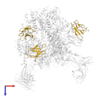 BG24 mature Fab light chain in PDB entry 7ugp, assembly 1, top view.