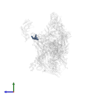 Mediator of RNA polymerase II transcription subunit 9 in PDB entry 7ui9, assembly 1, side view.