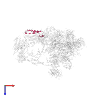 Mediator of RNA polymerase II transcription subunit 11 in PDB entry 7ui9, assembly 1, top view.