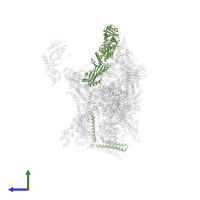 Mediator of RNA polymerase II transcription subunit 14 in PDB entry 7ui9, assembly 1, side view.