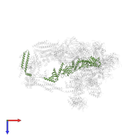 Mediator of RNA polymerase II transcription subunit 14 in PDB entry 7ui9, assembly 1, top view.