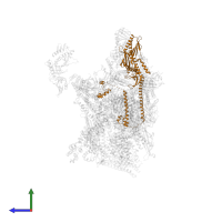 Mediator of RNA polymerase II transcription subunit 17 in PDB entry 7ui9, assembly 1, side view.