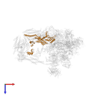 Mediator of RNA polymerase II transcription subunit 17 in PDB entry 7ui9, assembly 1, top view.